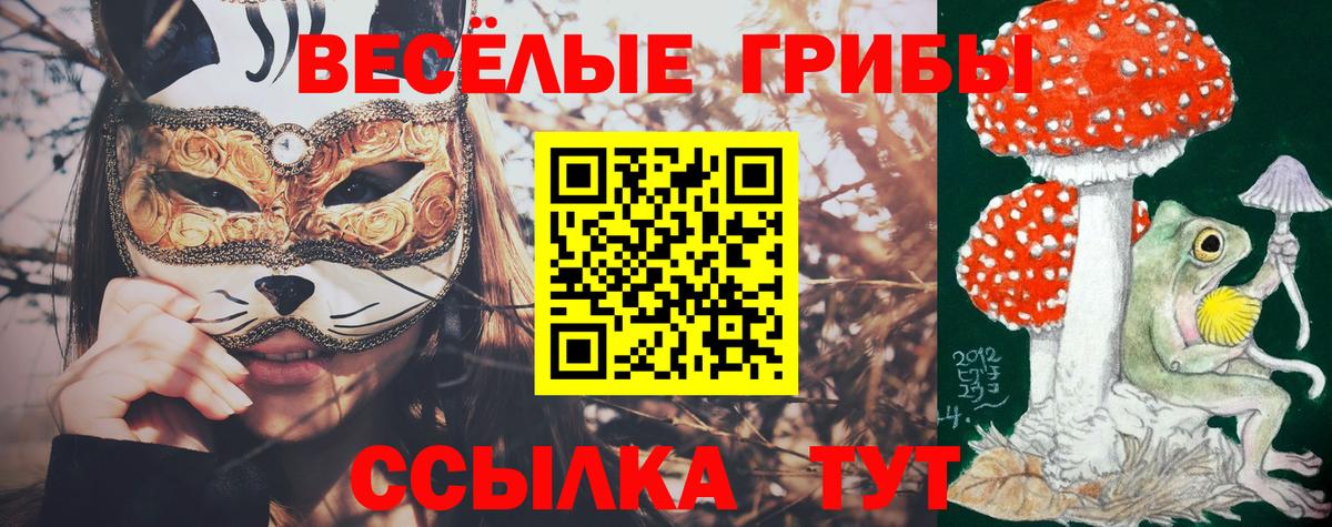 Балашиха  Галлюциногенные грибы Magic Shrooms  Вход с VPN  Галлюциногенные грибы Psilocybe 